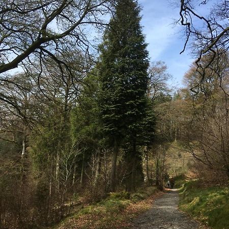 Bryncoed Bed & Breakfast Aberystwyth Bagian luar foto