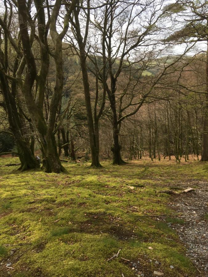 Bryncoed Bed & Breakfast Aberystwyth Bagian luar foto