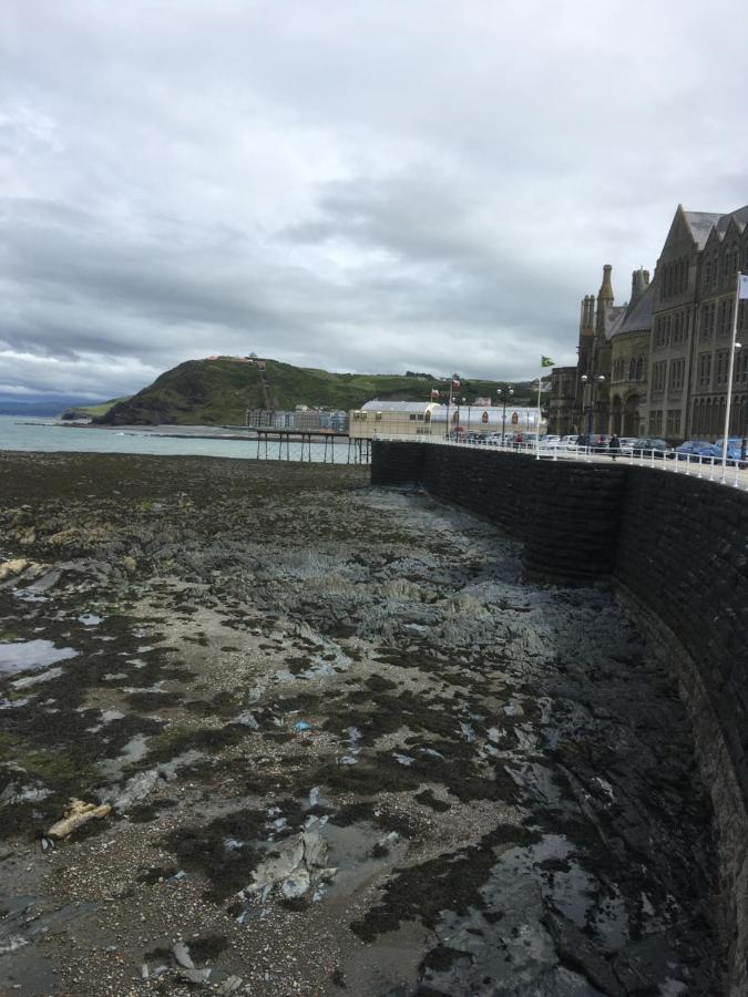 Bryncoed Bed & Breakfast Aberystwyth Bagian luar foto